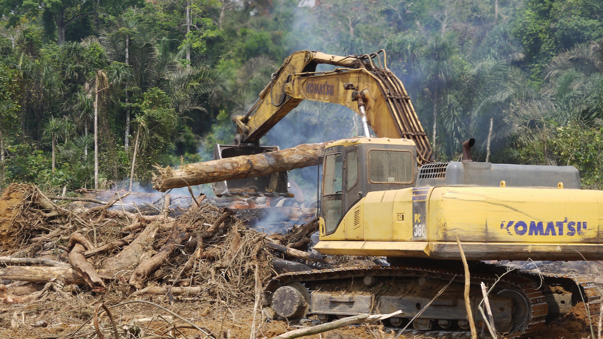 The Dangers of the Global Road-Building Tsunami (Videos)