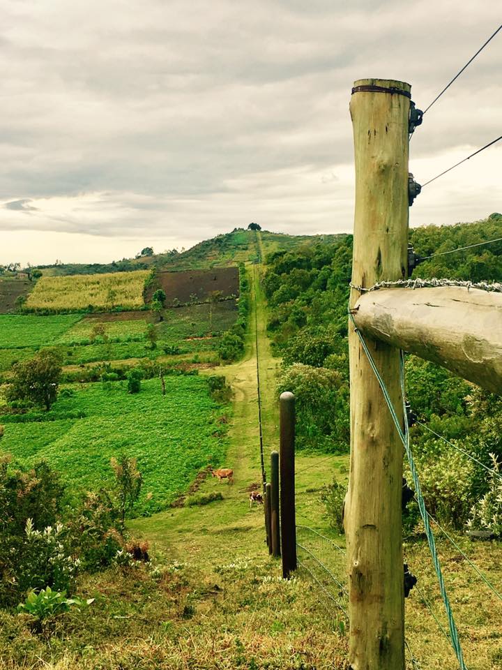 conservation fence