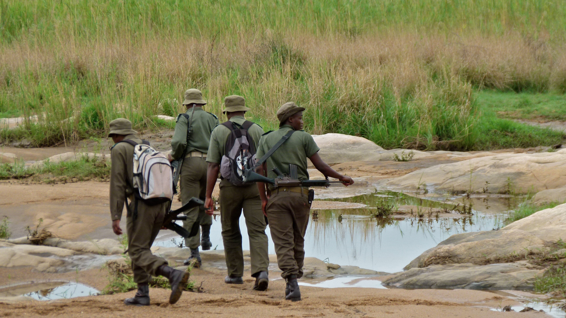 Rangers Provide Thin Green Line Protecting Wildlife Against Poachers, Extinction