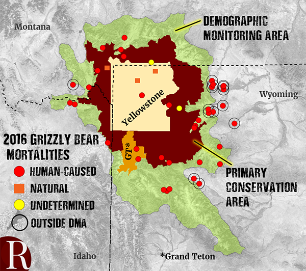 grizzly mortality 2016