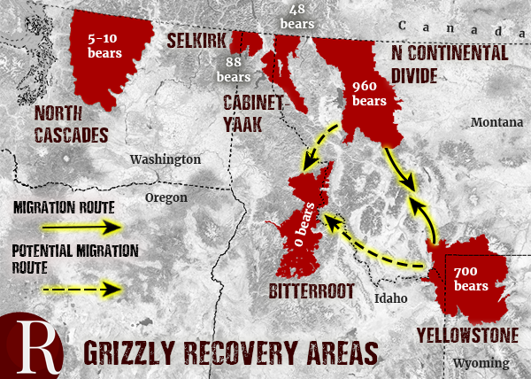 grizzly recovery areas