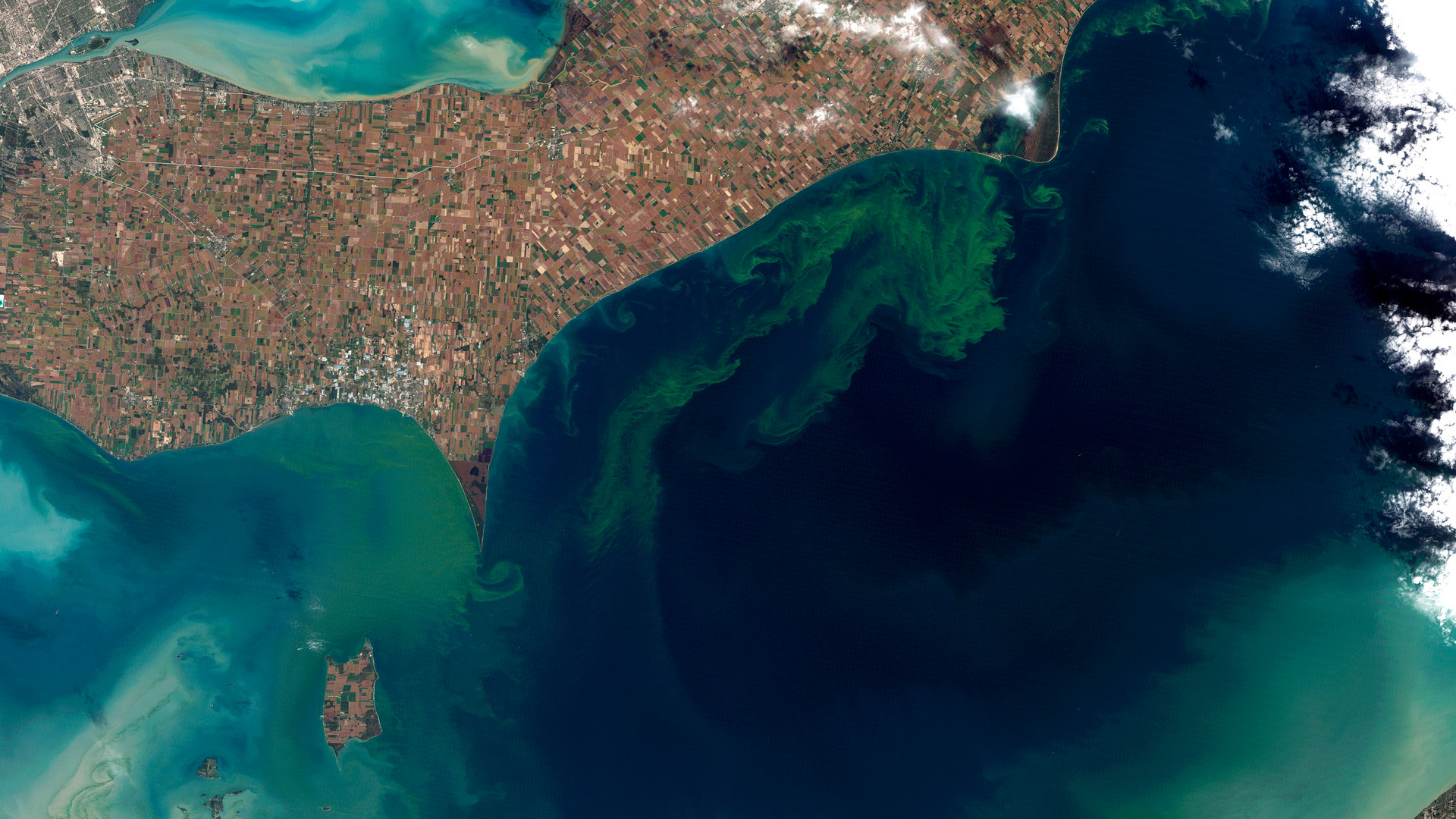 Nutrient Pollution: Voluntary Steps Failing to Shrink Algae Blooms