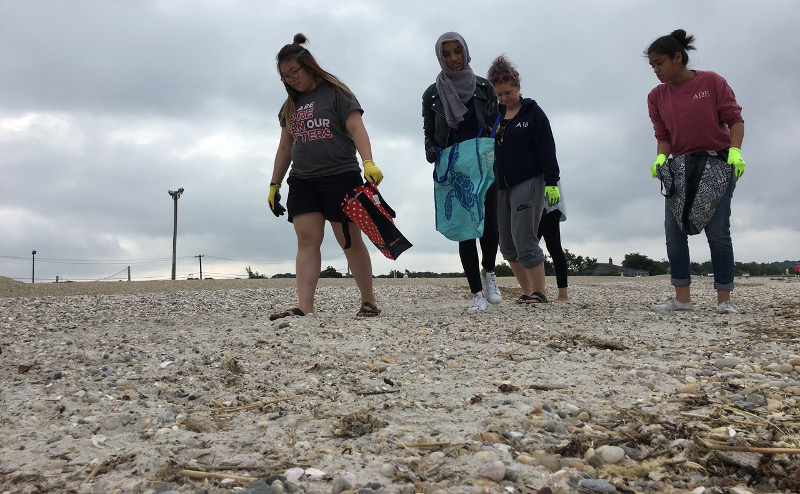 beach cleanup