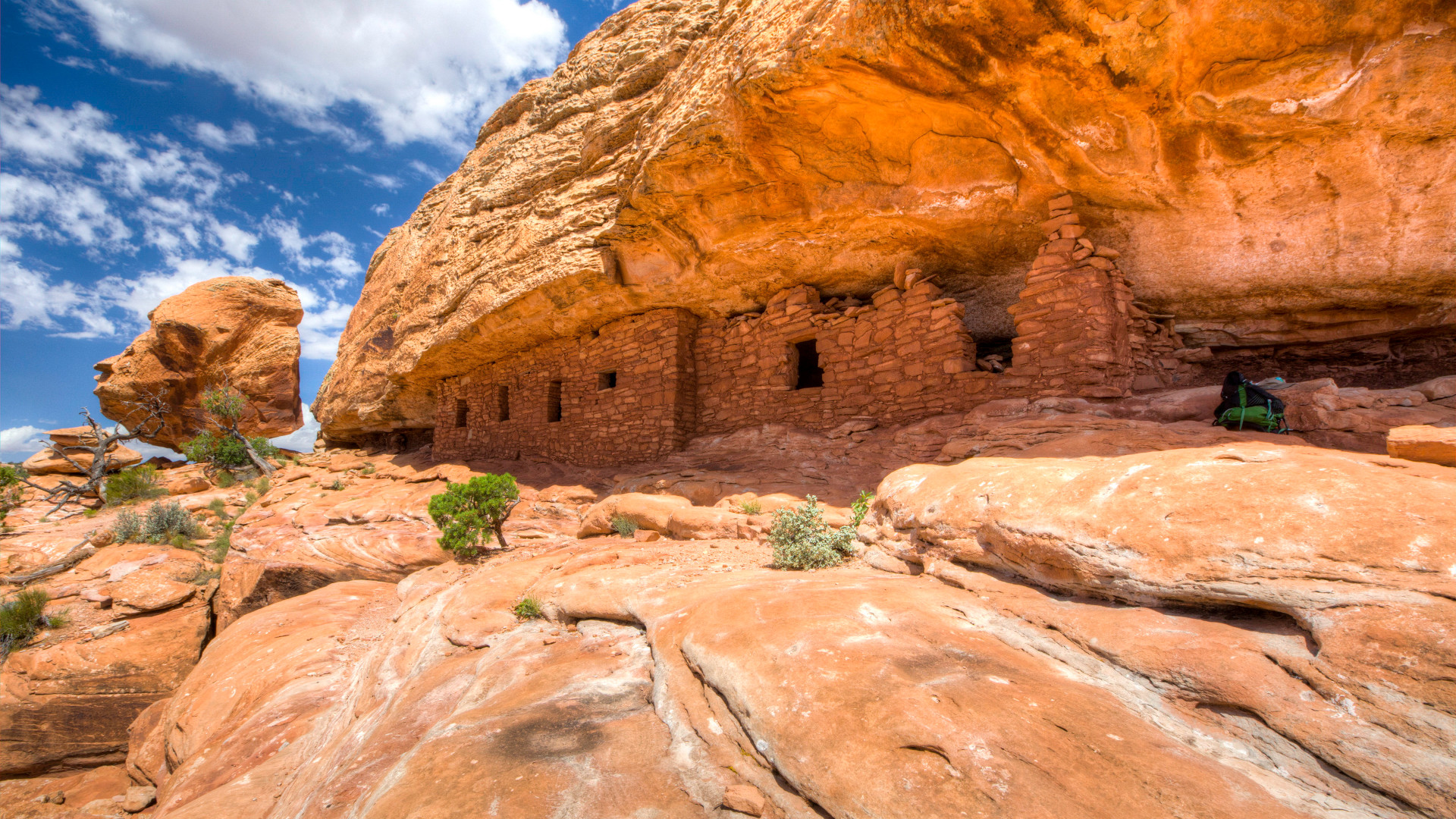 bears ears