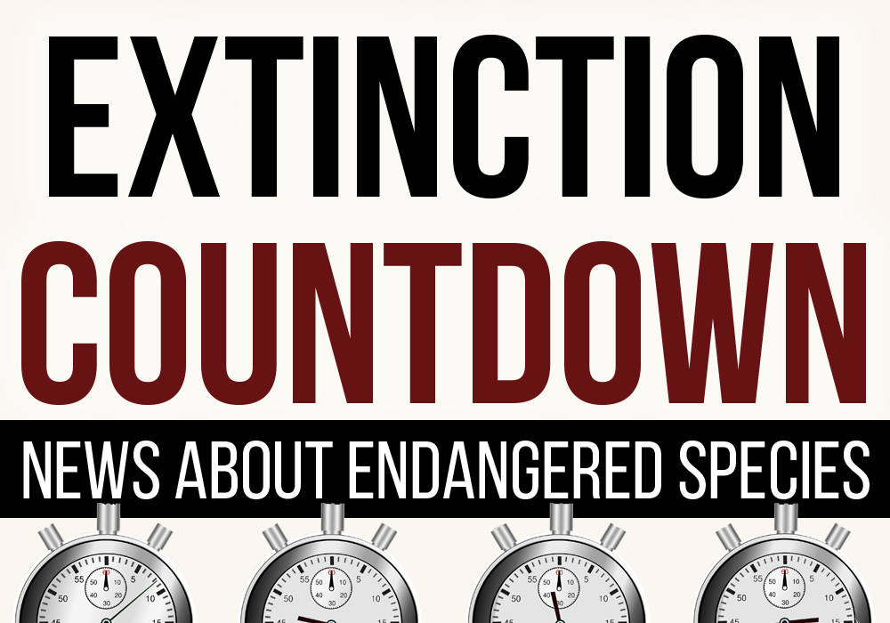 extinction countdown