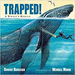 trapped whale