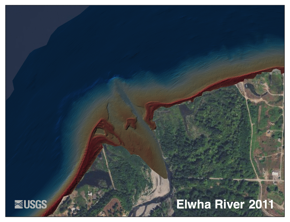 Elwha delta sediment