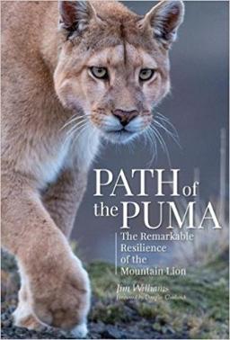 path of the puma