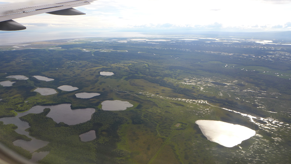 Alaskan wetlands