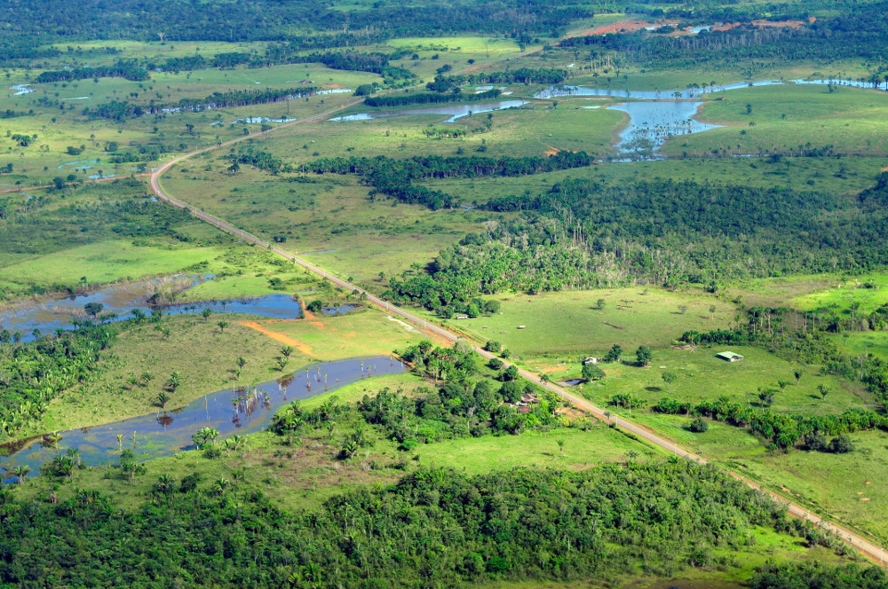 Amazon rainforest