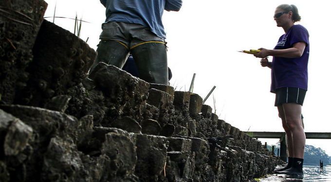 Shoreline research