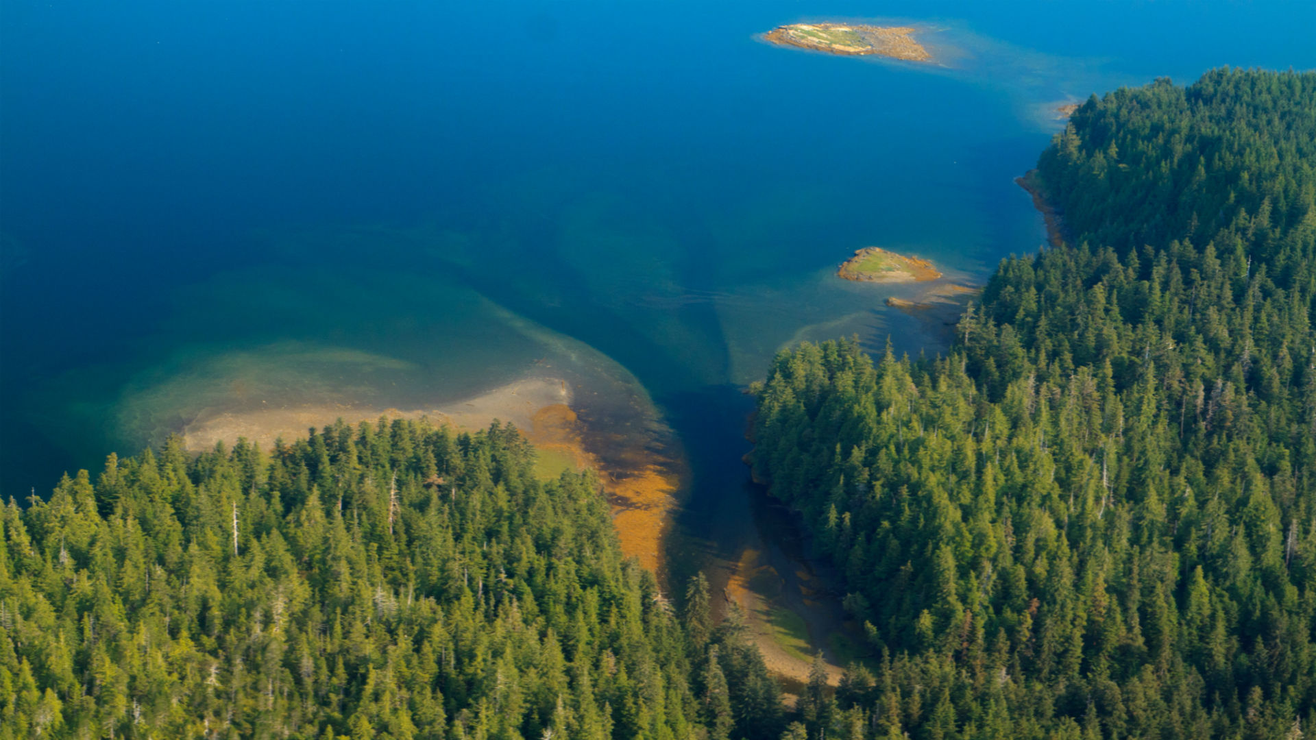 Tongass National Forest