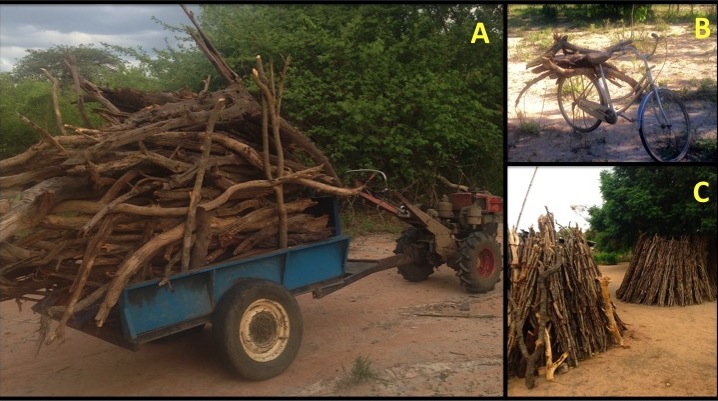 Tanzania firewood