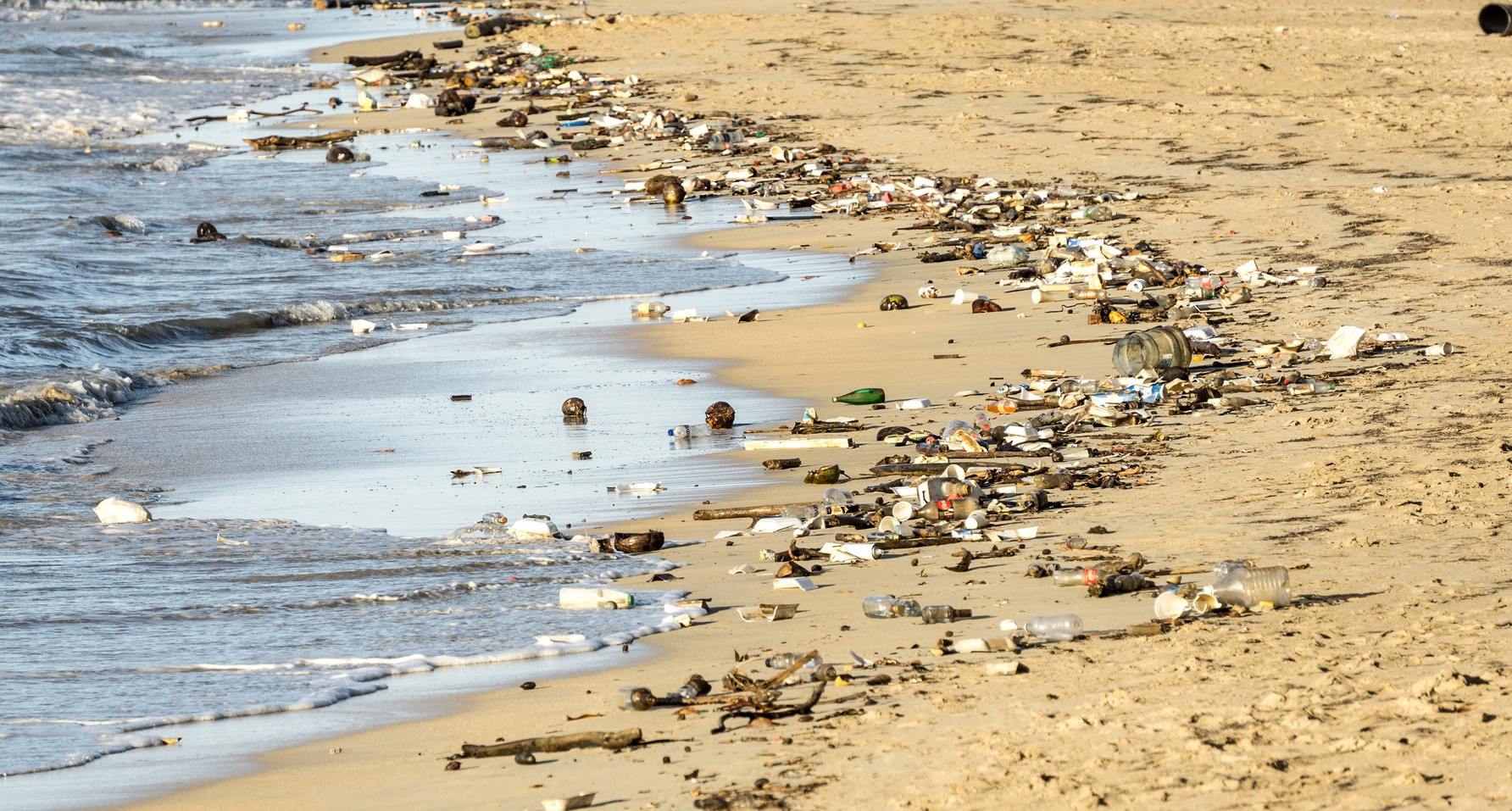 beach pollution