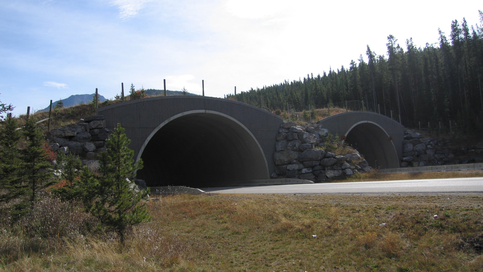 Wildlife overpass