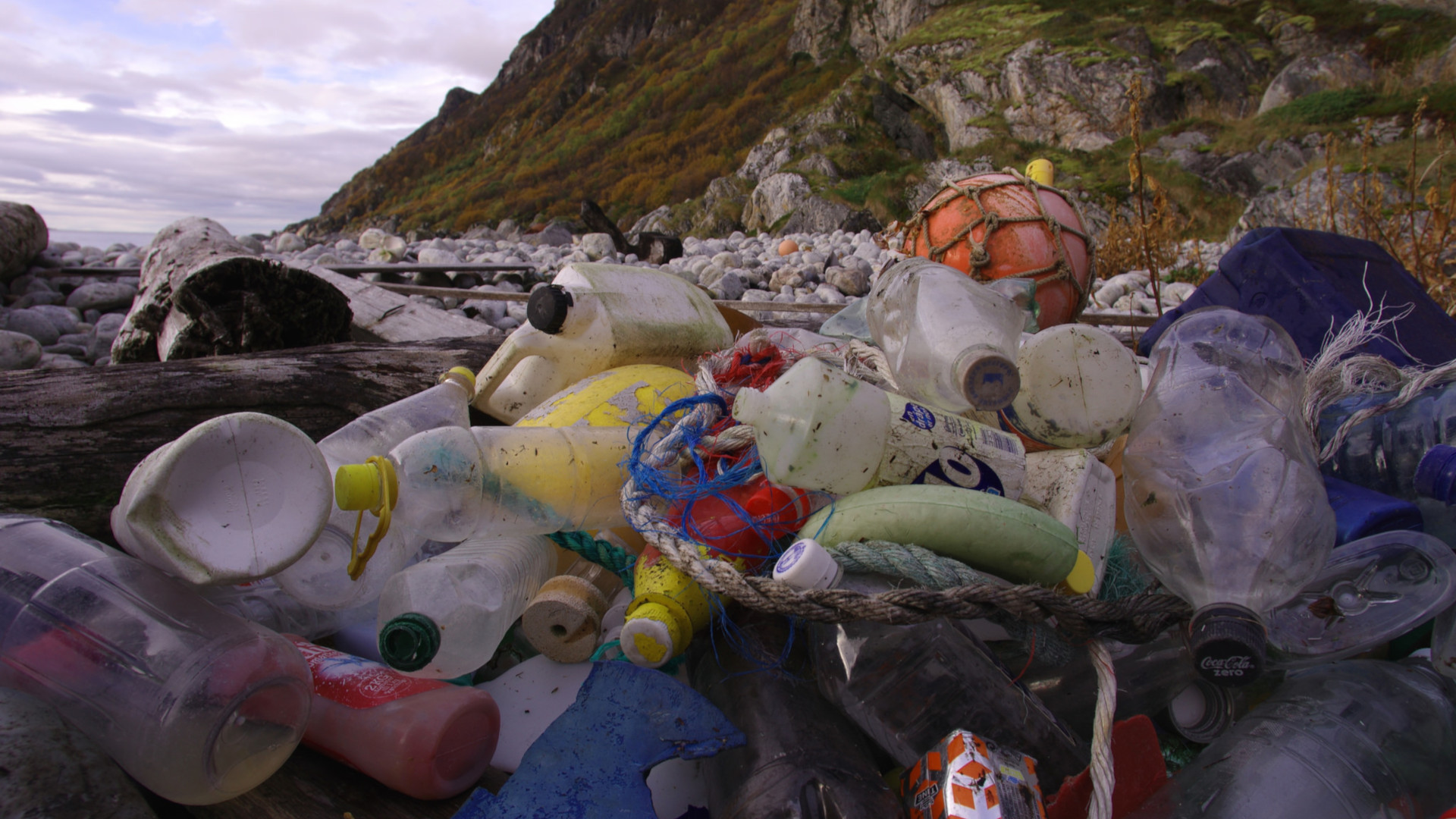Ocean plastic pollution