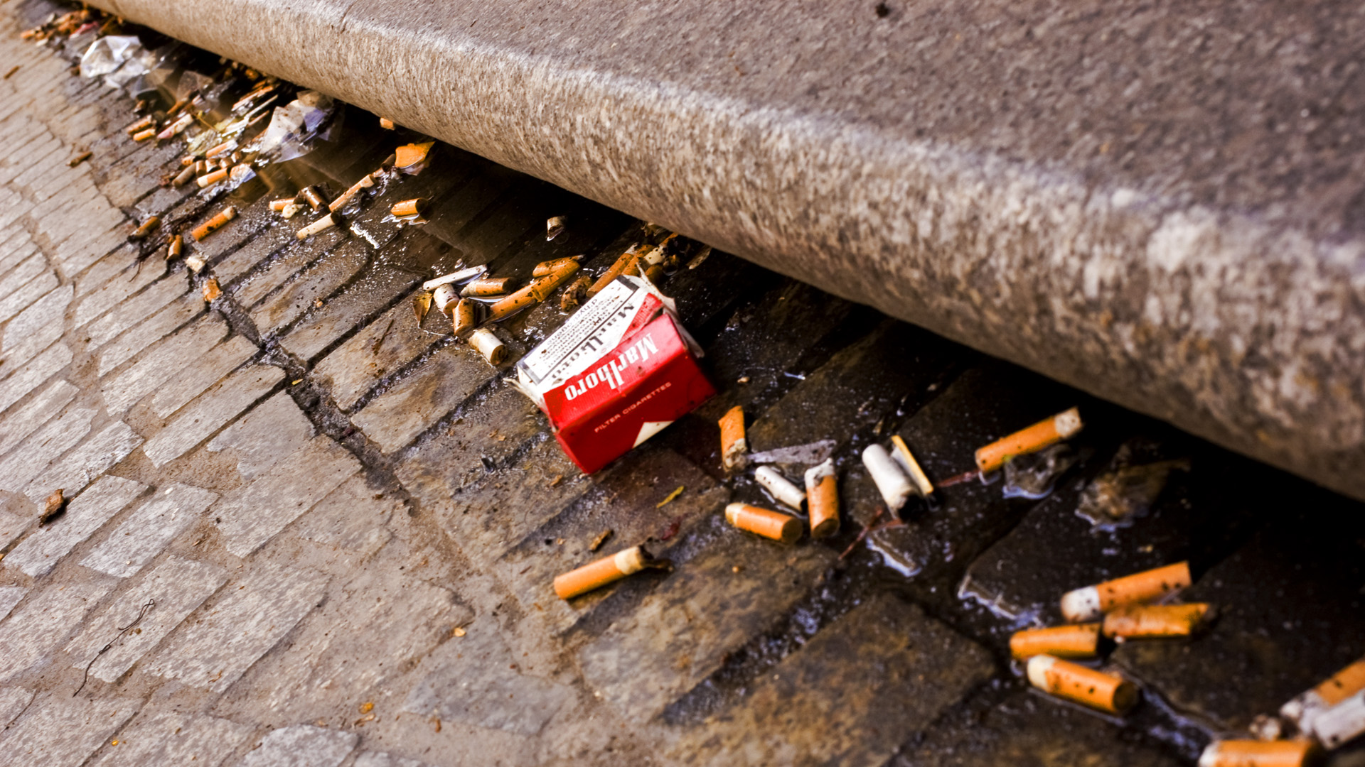 Cigarette butts