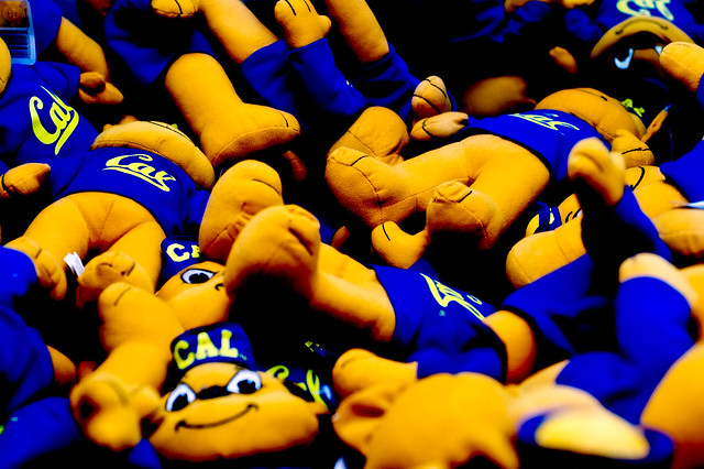 Cal Bears