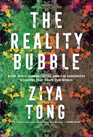 Reality Bubble book cover