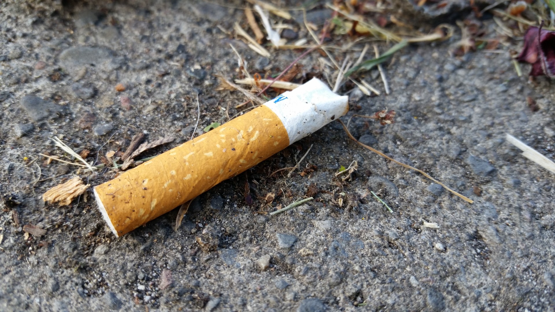 cigarette butt