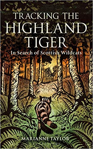 highland tiger
