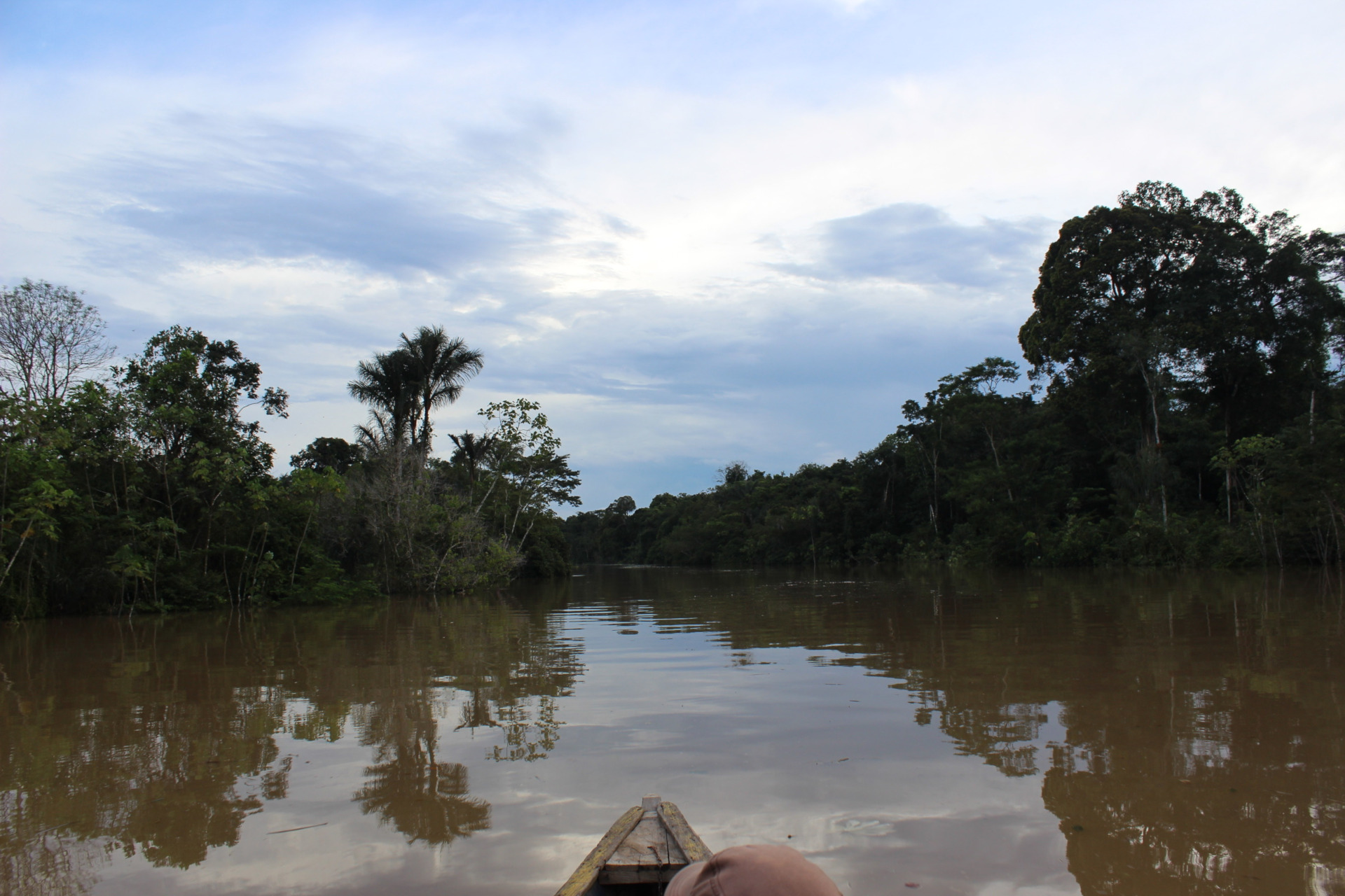 Loretoyacu River, Colombia, March 2019