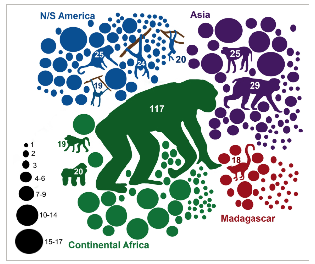 graphic of species studied