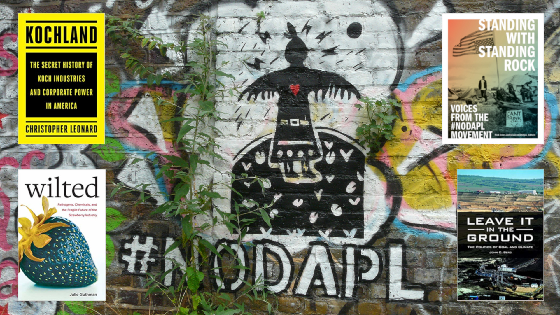 #nodapl