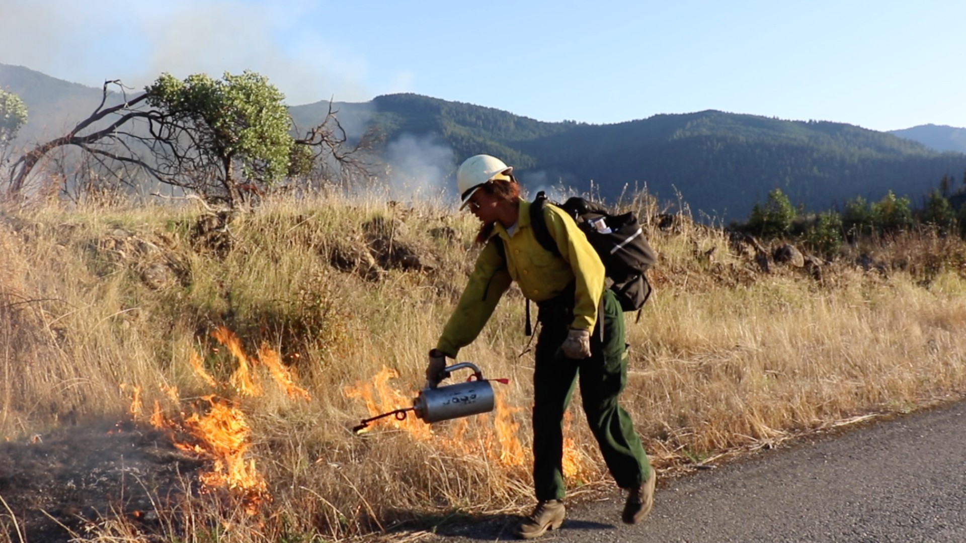 prescribed burn