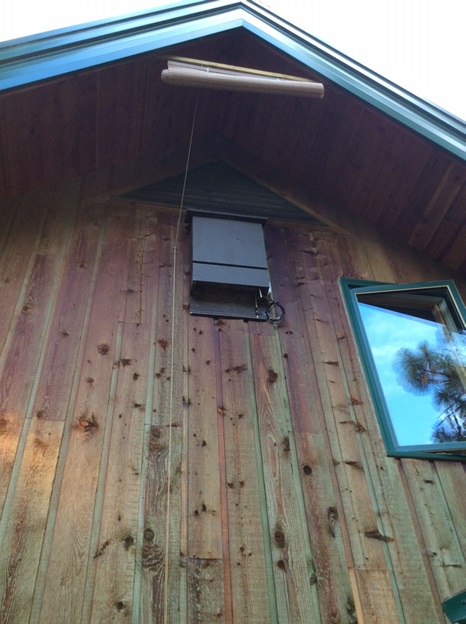 Bat box on house