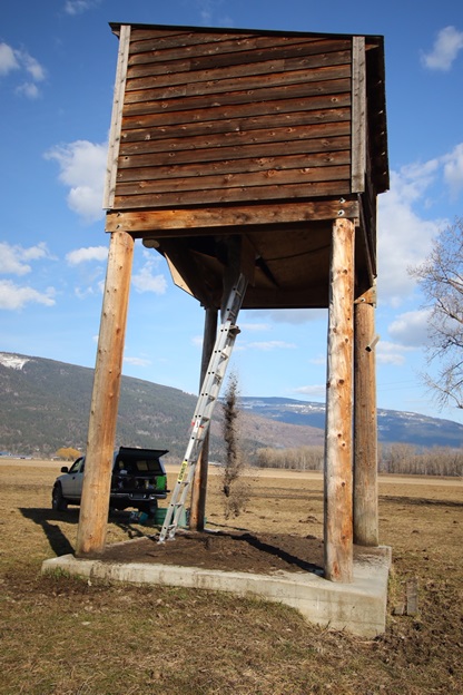 Bat condo