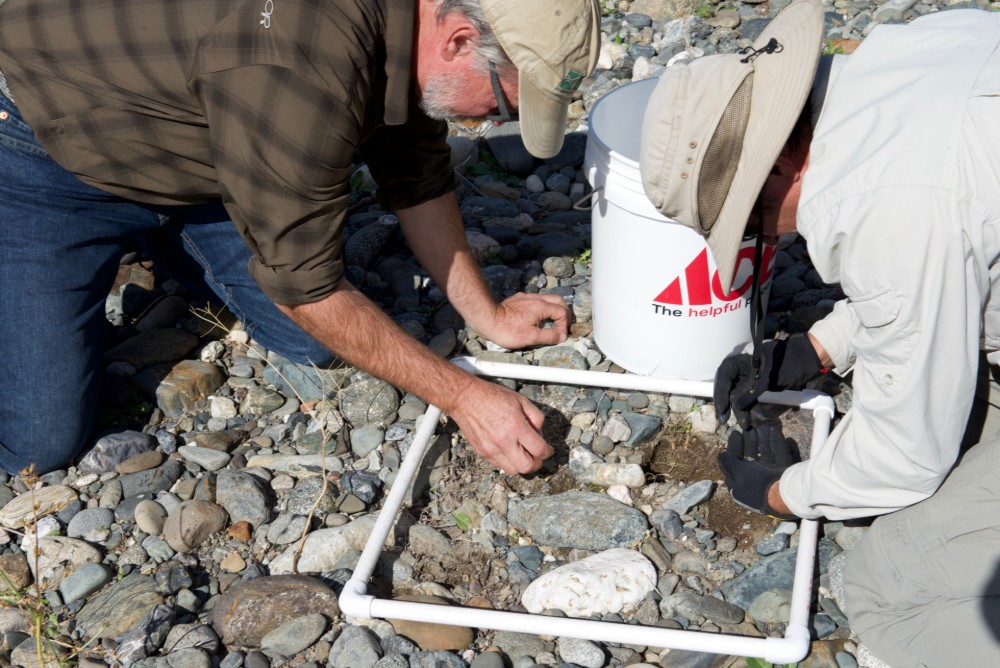 Checking the sediment