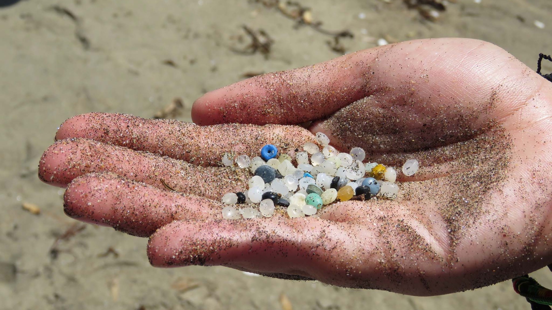 plastic pellets from a beach