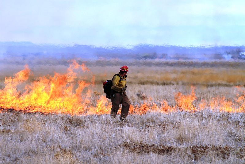 Prescribed Burn