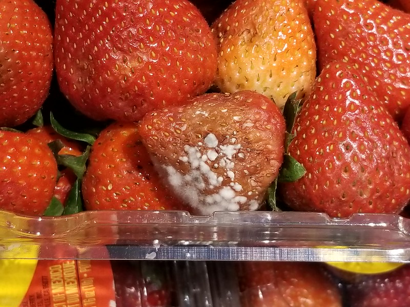 rotting fruit