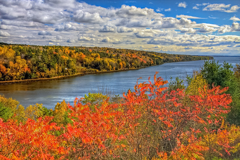 River with fall foliage