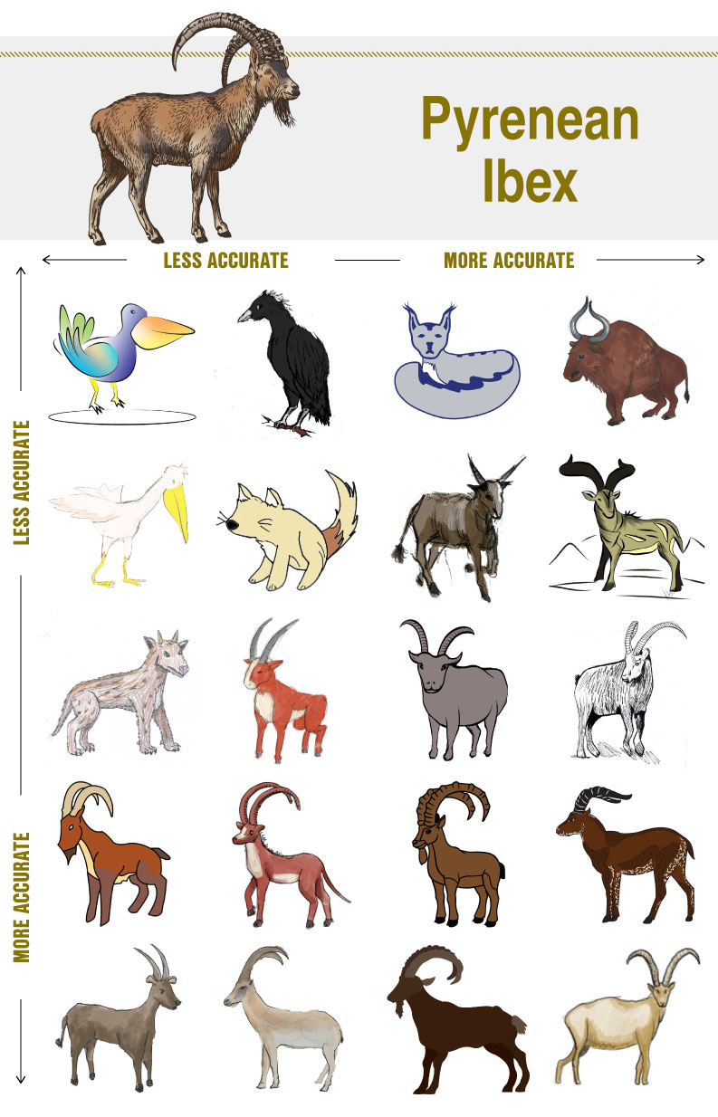 Can You Draw An Extinct Species From Memory The Revelator