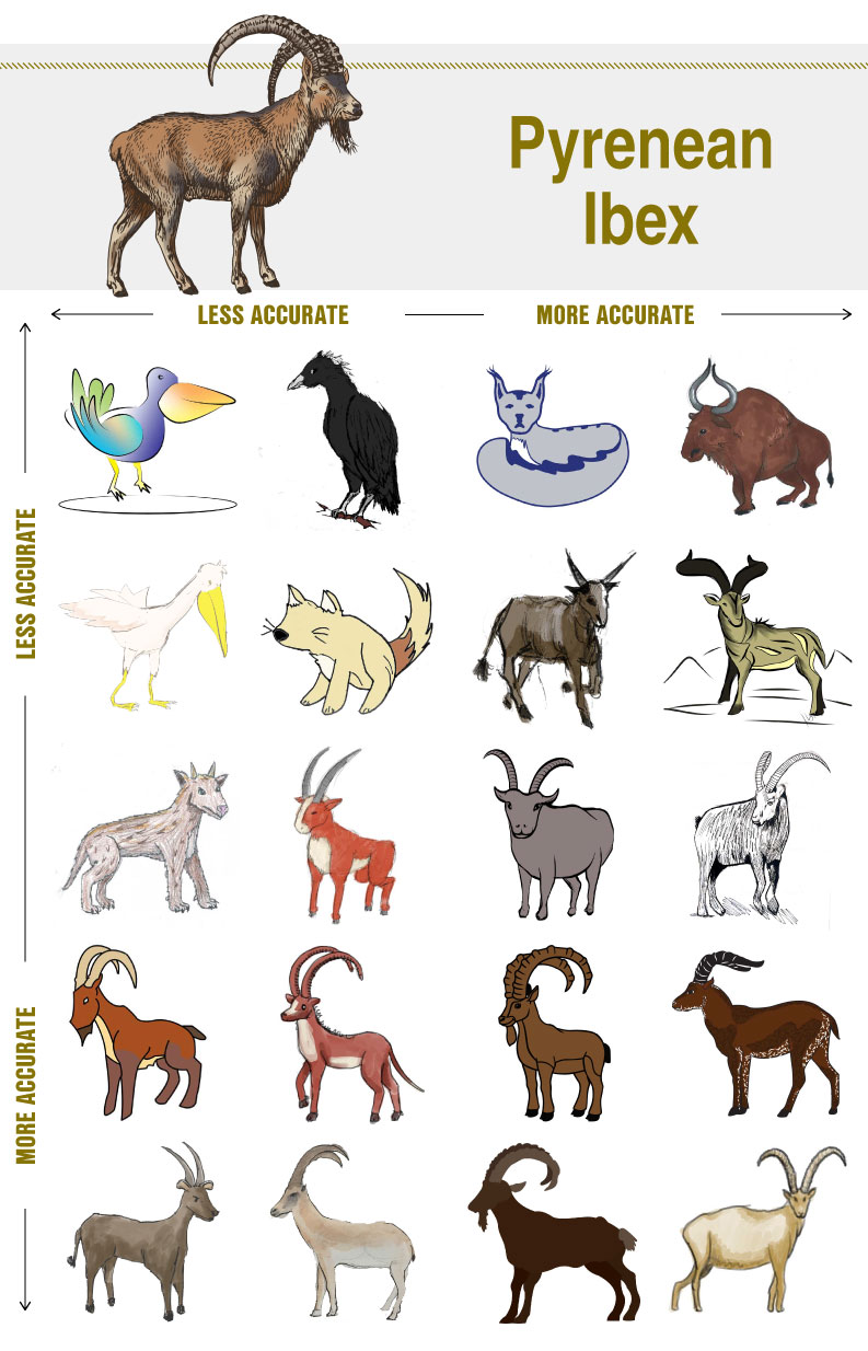 Can You Draw An Extinct Species From Memory  The Revelator