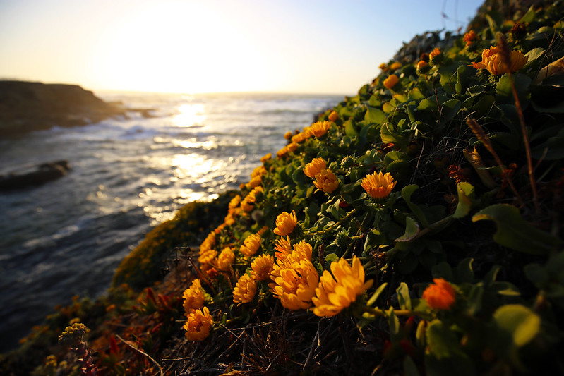 California Coastal National Monument