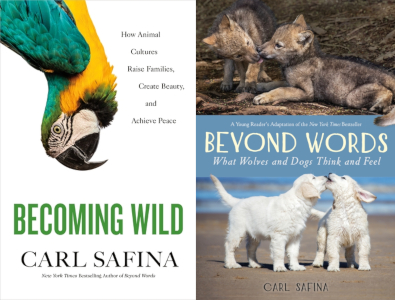 Becoming Wild Beyond Words