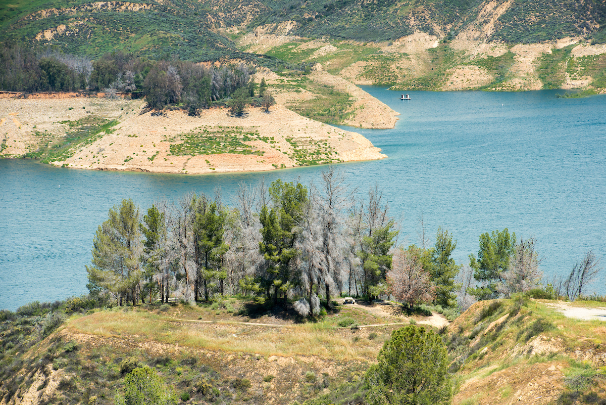 Dead trees surround lake