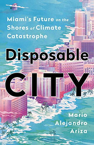 Disposable City