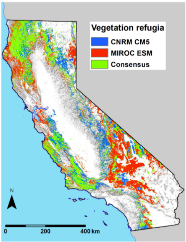 Map of distribution of plants