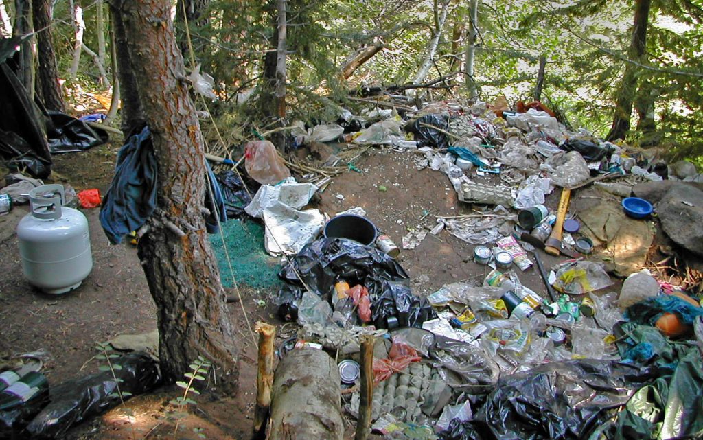 garbage in forest