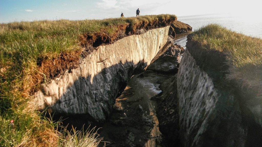 Cross section of permafrost under grass