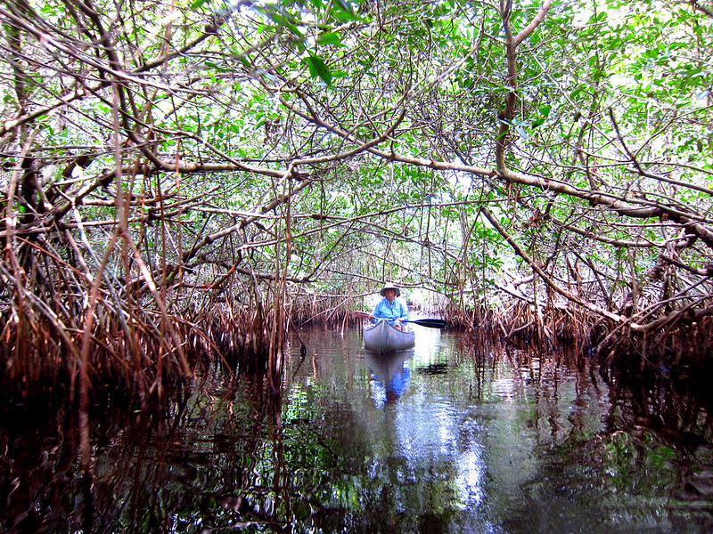 Big Cypress National Preserve