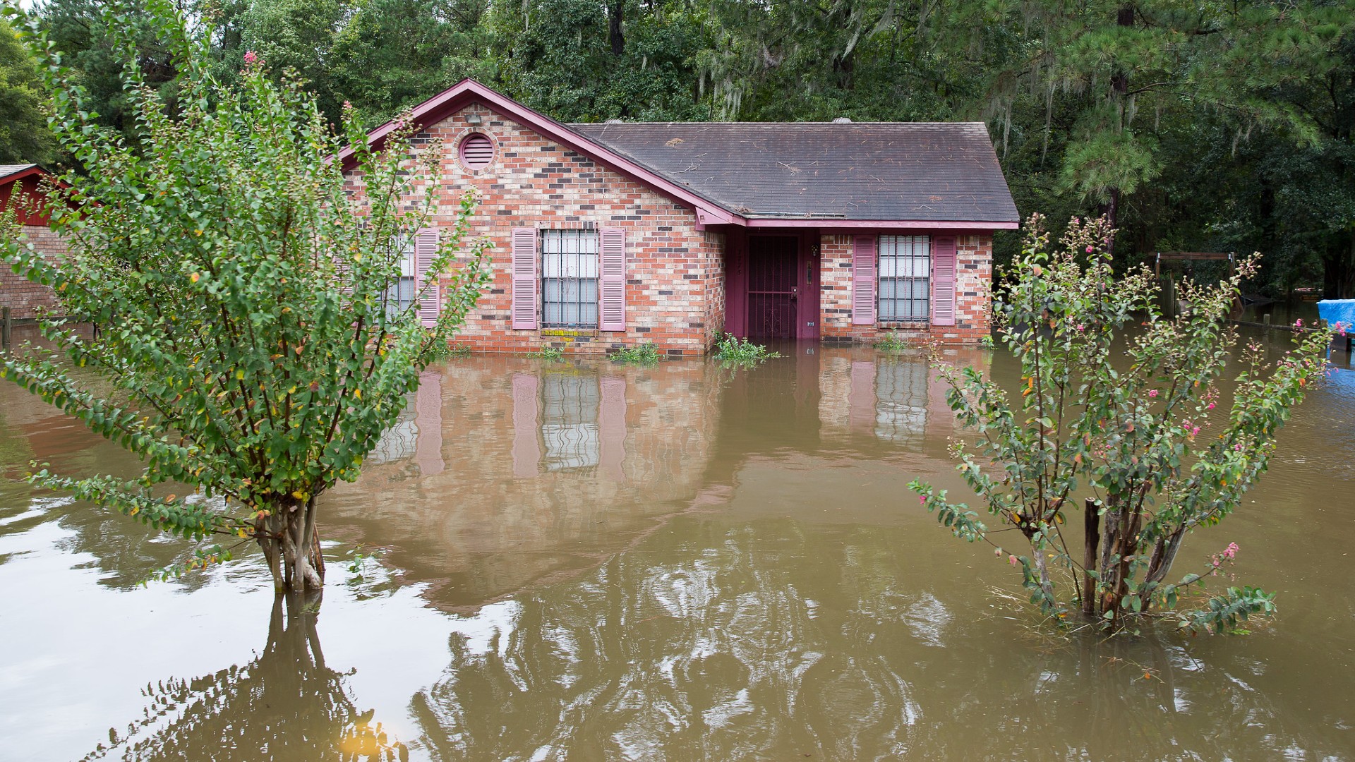 Flood water at house windows