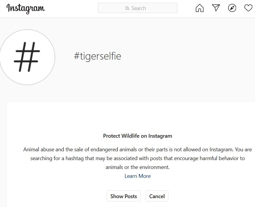 Instagram tiger selfie filter