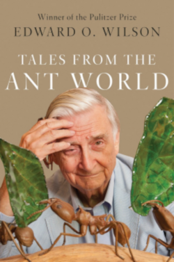 Ant World EO Wilson