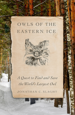 owls of eastern ice